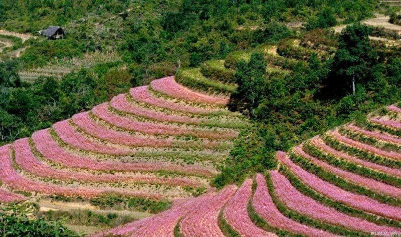 Отель Nha Nghi T&T Донгван Экстерьер фото