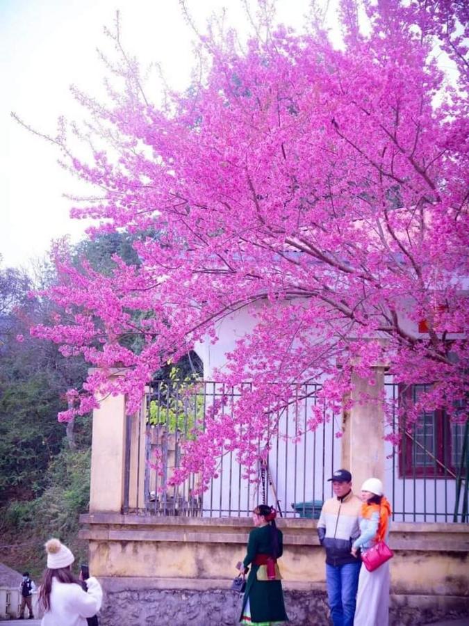 Отель Nha Nghi T&T Донгван Экстерьер фото