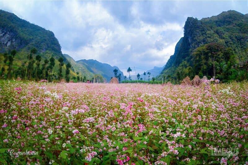 Отель Nha Nghi T&T Донгван Экстерьер фото